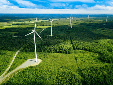 A photo of 6 wind turbines in a row in fields and forests
