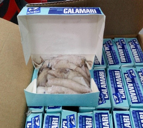 Frozen calamari from California