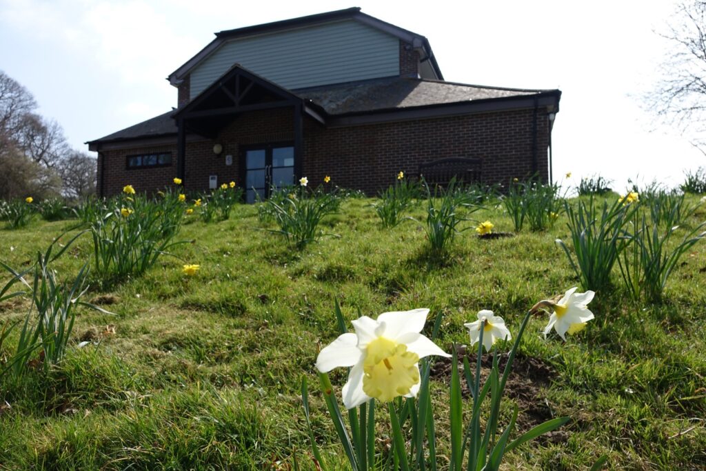 Photo of village hall with daffodils
