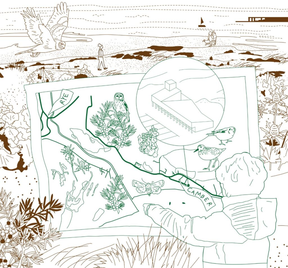 Visual drawing of Camber by lead consultant DK-CM. A sketch of a child is pointing at a map of the Camber area which has pictures of wild birds on it