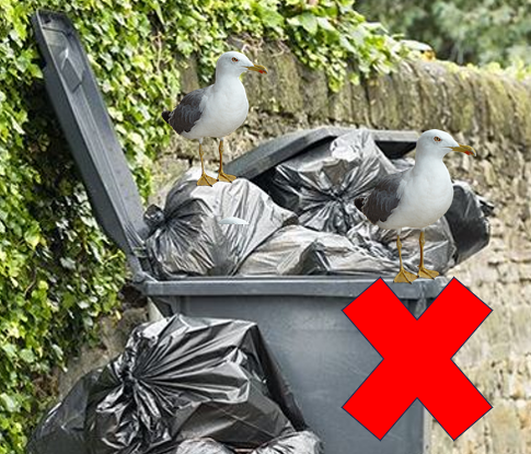 Photo of litter in an open black wheelie bins, with seagulls located on top. Red Cross located on image signifying that this should not be done.