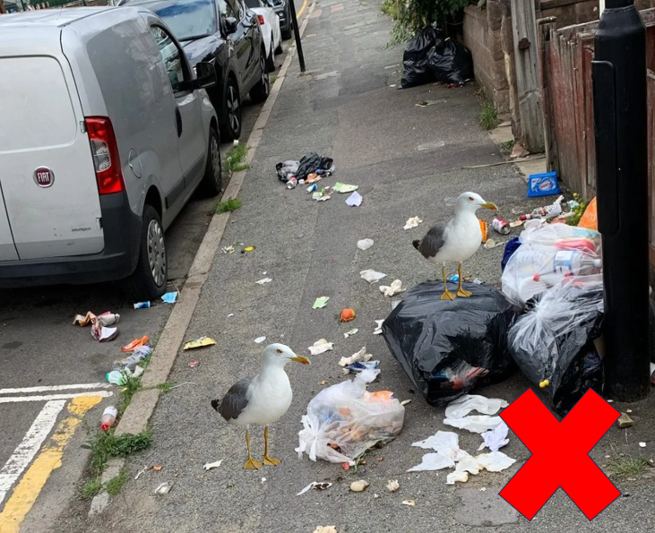 Photo of litter across a pathway, with seagulls located on top. Red Cross located on image signifying that this should not be done.