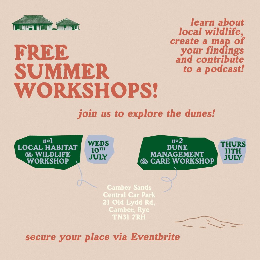 Free Summer Workshops at Camber Sands Central Car Park. Habitat Workshop on Wednesday 10th July. Dune Management & Care Workshop on Thursday 11th July.