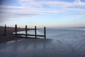 Beautiful Rother – Pett Level in the evening light